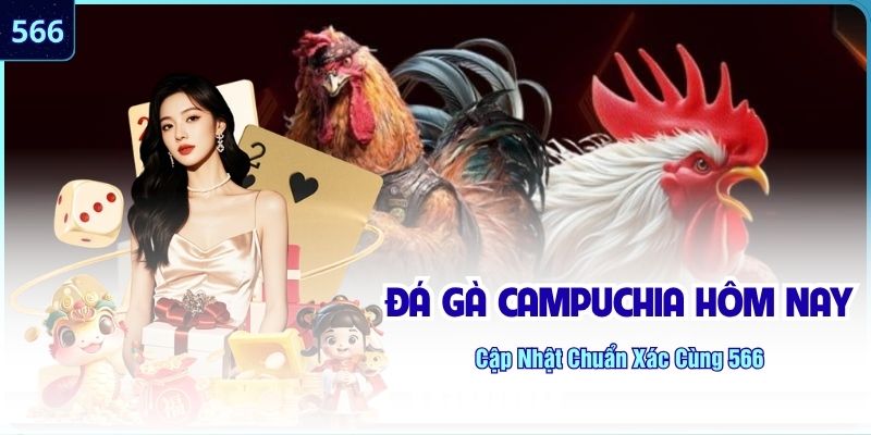 Đá Gà Campuchia Hôm Nay