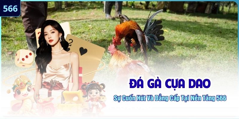 Đá Gà Cựa Dao