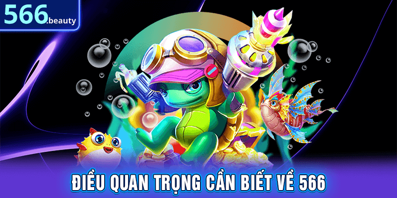 Điều quan trọng cần viết về 566