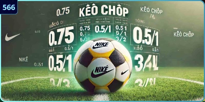 Những nét thú vị tại thể thao 566